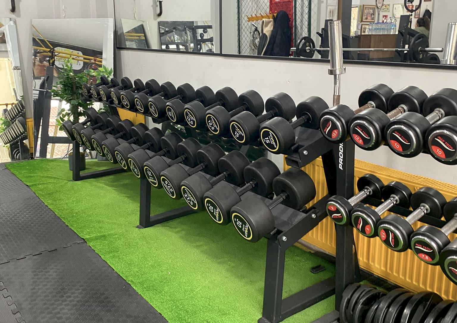 Fitness